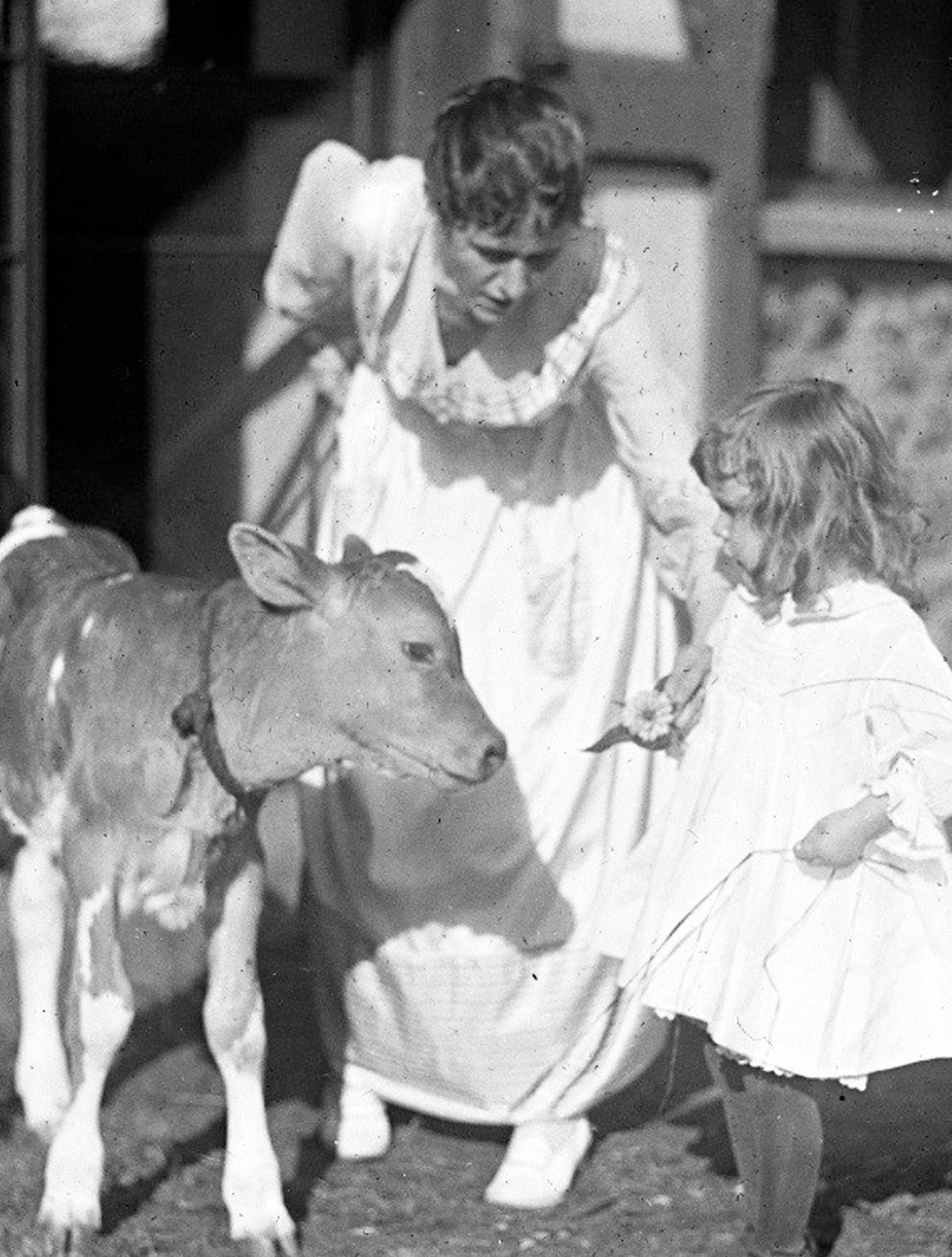 Farm lecture website 2021